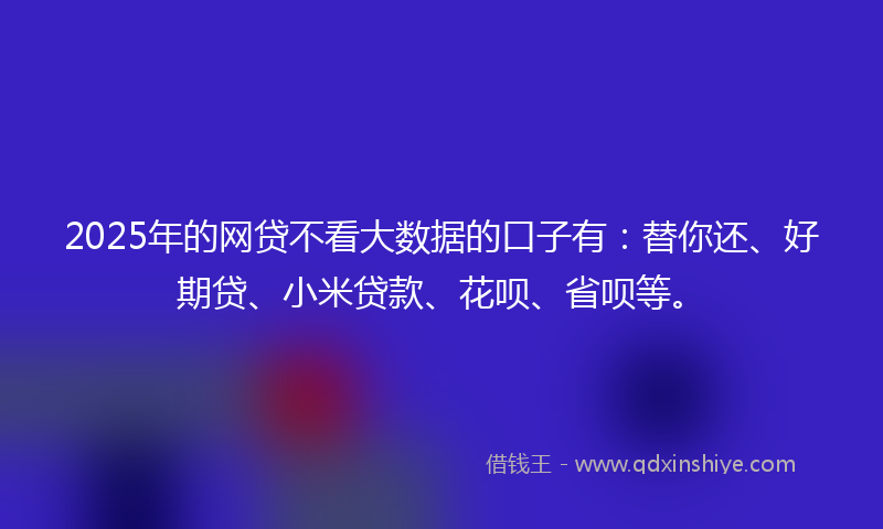 2025年的网贷不看大数据的口子有：替你还、好期贷、小米贷款、花呗、省呗等。