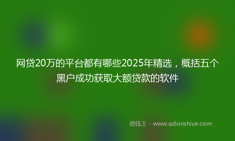 网贷20万的平台都有哪些2025年精选，概括五个黑户成功获取大额贷款的软件