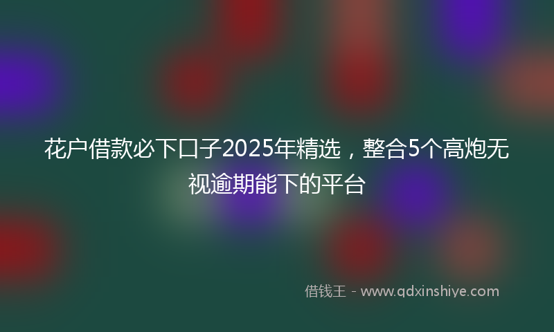 花户借款必下口子2025年精选，整合5个高炮无视逾期能下的平台