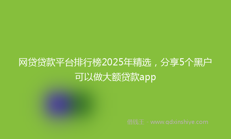 网贷贷款平台排行榜2025年精选，分享5个黑户可以做大额贷款app