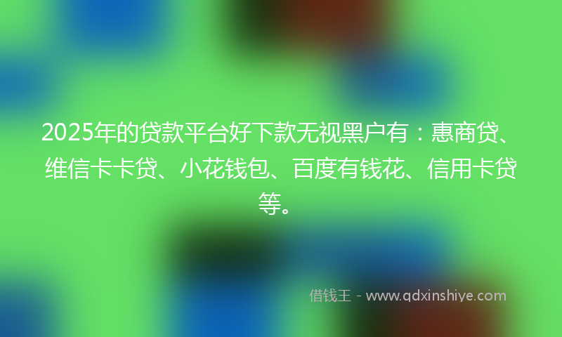 2025年的贷款平台好下款无视黑户有：惠商贷、维信卡卡贷、小花钱包、百度有钱花、信用卡贷等。