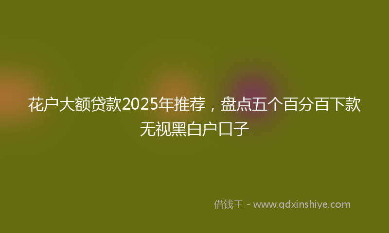 花户大额贷款2025年推荐，盘点五个百分百下款无视黑白户口子