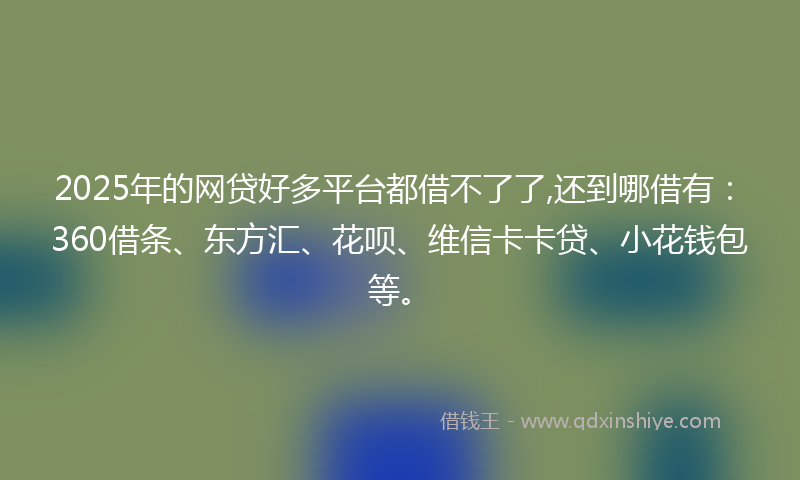 2025年的网贷好多平台都借不了了,还到哪借有：360借条、东方汇、花呗、维信卡卡贷、小花钱包等。