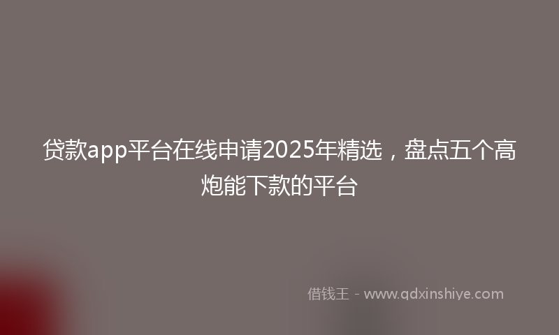 贷款app平台在线申请2025年精选，盘点五个高炮能下款的平台