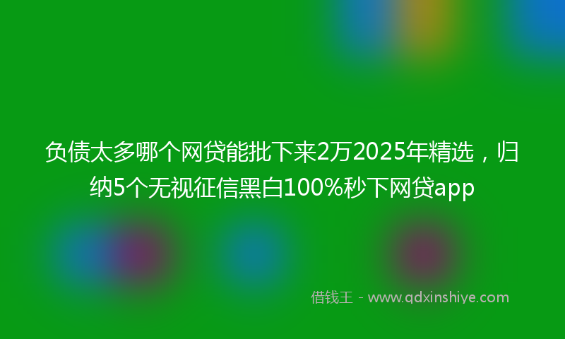 负债太多哪个网贷能批下来2万2025年精选，归纳5个无视征信黑白100%秒下网贷app