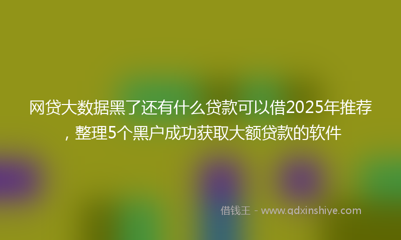 网贷大数据黑了还有什么贷款可以借2025年推荐，整理5个黑户成功获取大额贷款的软件