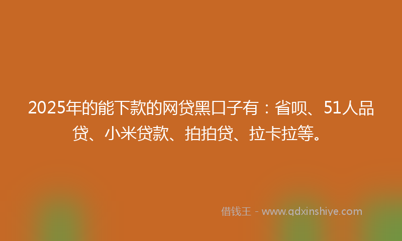 2025年的能下款的网贷黑口子有：省呗、51人品贷、小米贷款、拍拍贷、拉卡拉等。