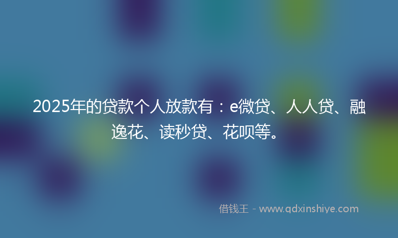 2025年的贷款个人放款有：e微贷、人人贷、融逸花、读秒贷、花呗等。