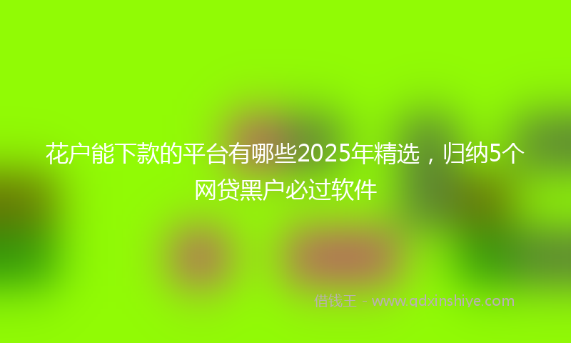 花户能下款的平台有哪些2025年精选，归纳5个网贷黑户必过软件