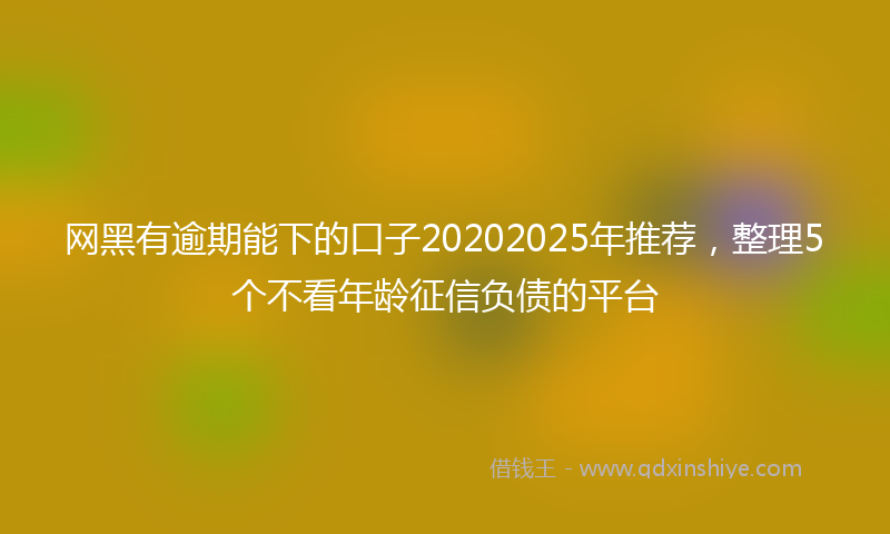 网黑有逾期能下的口子20202025年推荐，整理5个不看年龄征信负债的平台
