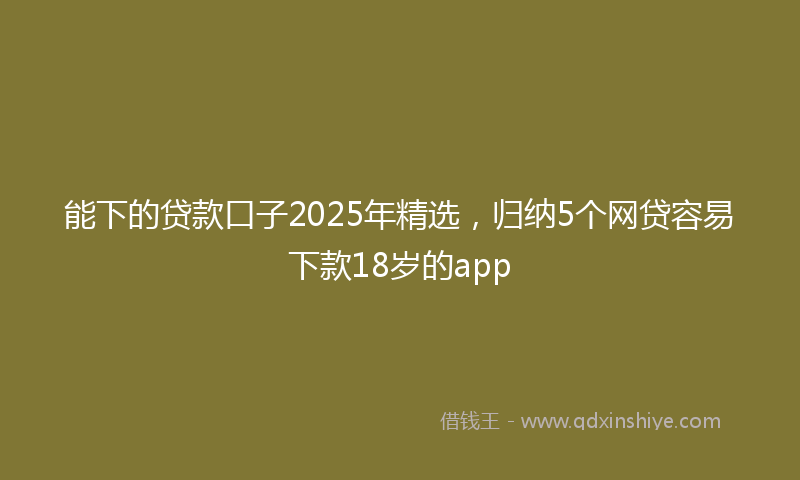能下的贷款口子2025年精选，归纳5个网贷容易下款18岁的app
