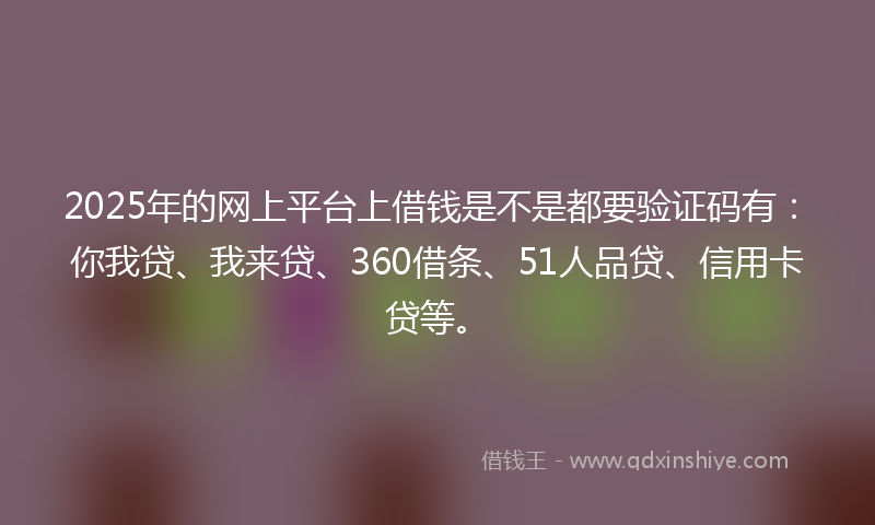 2025年的网上平台上借钱是不是都要验证码有：你我贷、我来贷、360借条、51人品贷、信用卡贷等。