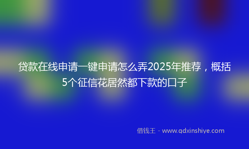 贷款在线申请一键申请怎么弄2025年推荐，概括5个征信花居然都下款的口子