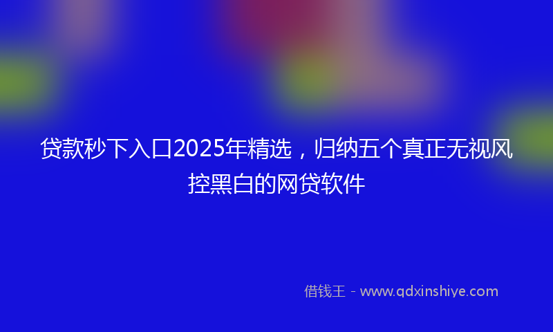 贷款秒下入口2025年精选，归纳五个真正无视风控黑白的网贷软件