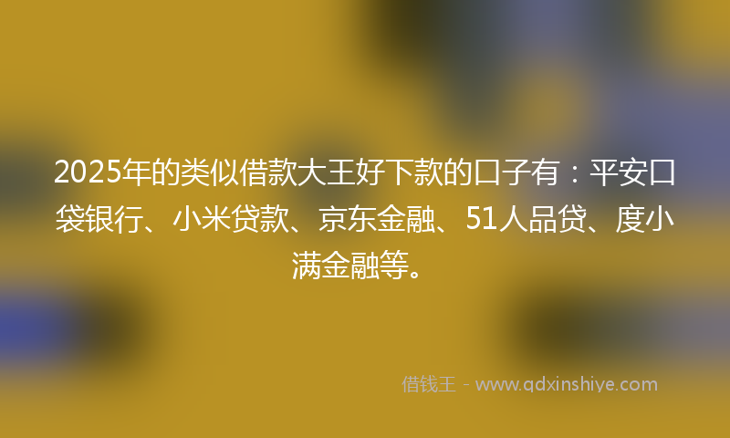 2025年的类似借款大王好下款的口子有：平安口袋银行、小米贷款、京东金融、51人品贷、度小满金融等。