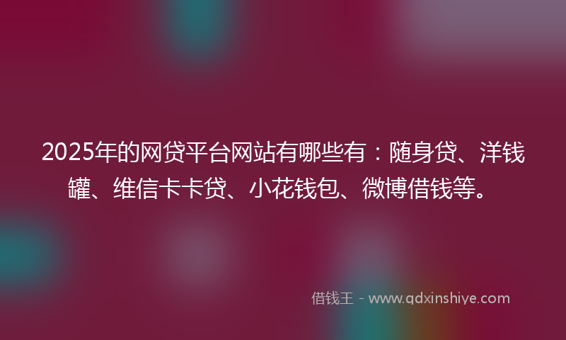 2025年的网贷平台网站有哪些有：随身贷、洋钱罐、维信卡卡贷、小花钱包、微博借钱等。