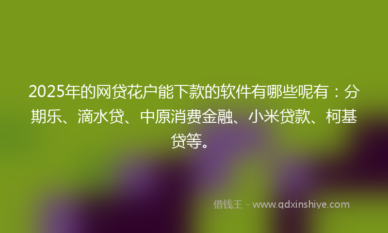 2025年的网贷花户能下款的软件有哪些呢有：分期乐、滴水贷、中原消费金融、小米贷款、柯基贷等。
