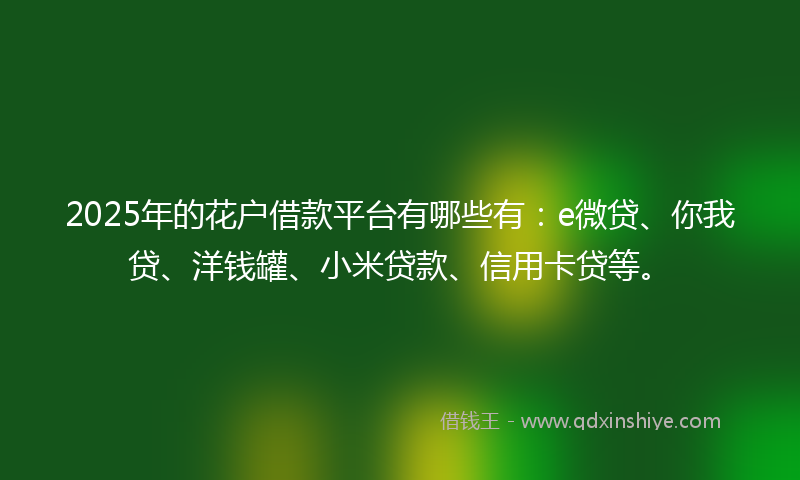 2025年的花户借款平台有哪些有：e微贷、你我贷、洋钱罐、小米贷款、信用卡贷等。