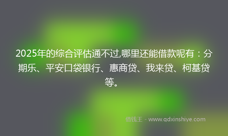 2025年的综合评估通不过,哪里还能借款呢有：分期乐、平安口袋银行、惠商贷、我来贷、柯基贷等。
