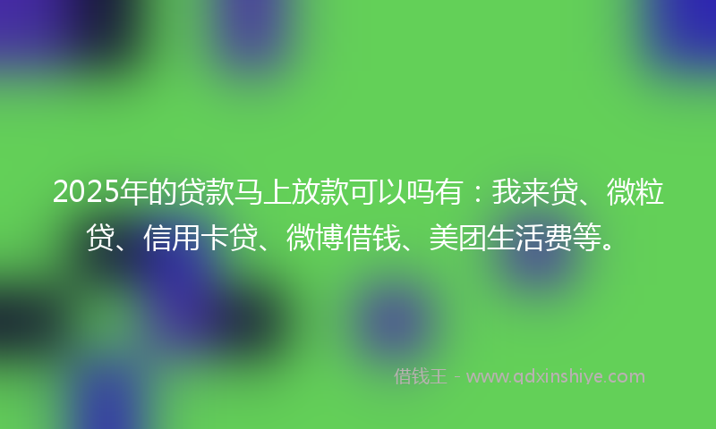 2025年的贷款马上放款可以吗有：我来贷、微粒贷、信用卡贷、微博借钱、美团生活费等。