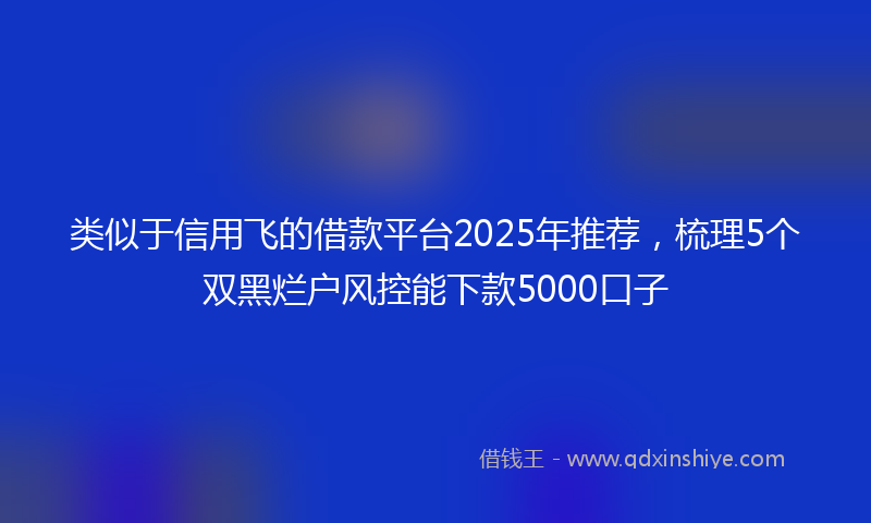 类似于信用飞的借款平台2025年推荐，梳理5个双黑烂户风控能下款5000口子