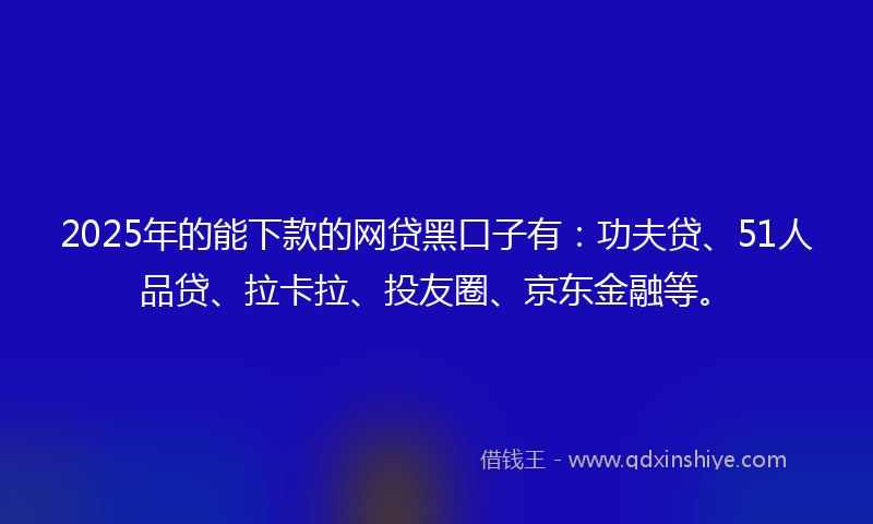 2025年的能下款的网贷黑口子有：功夫贷、51人品贷、拉卡拉、投友圈、京东金融等。