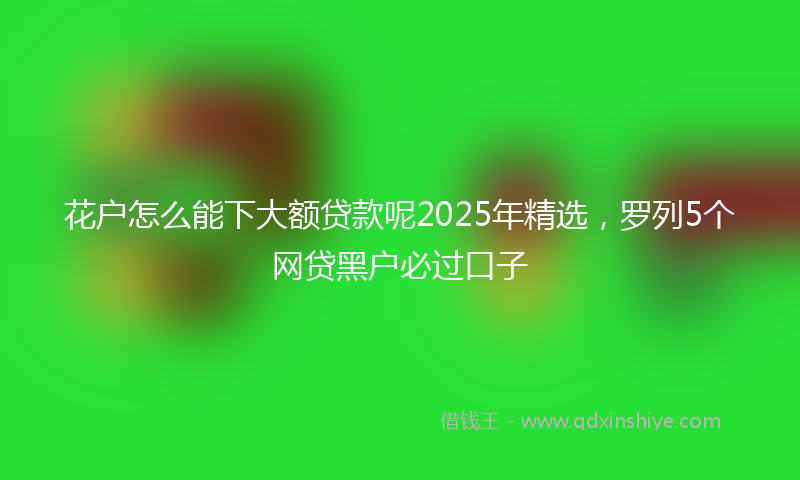 花户怎么能下大额贷款呢2025年精选，罗列5个网贷黑户必过口子