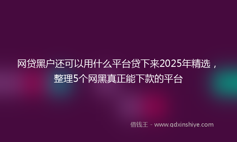网贷黑户还可以用什么平台贷下来2025年精选，整理5个网黑真正能下款的平台