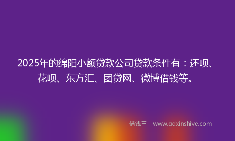 2025年的绵阳小额贷款公司贷款条件有：还呗、花呗、东方汇、团贷网、微博借钱等。