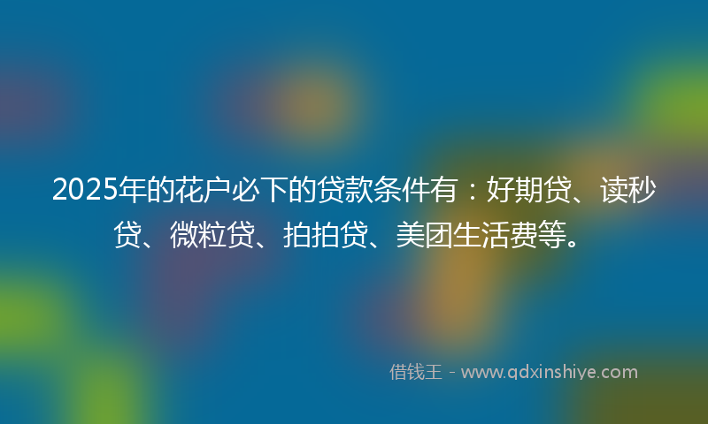 2025年的花户必下的贷款条件有：好期贷、读秒贷、微粒贷、拍拍贷、美团生活费等。
