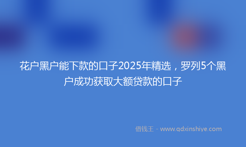 花户黑户能下款的口子2025年精选，罗列5个黑户成功获取大额贷款的口子