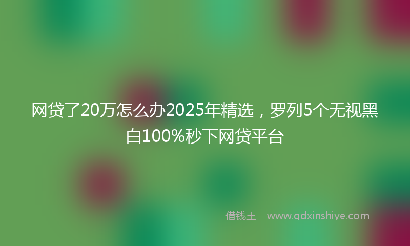 网贷了20万怎么办2025年精选，罗列5个无视黑白100%秒下网贷平台