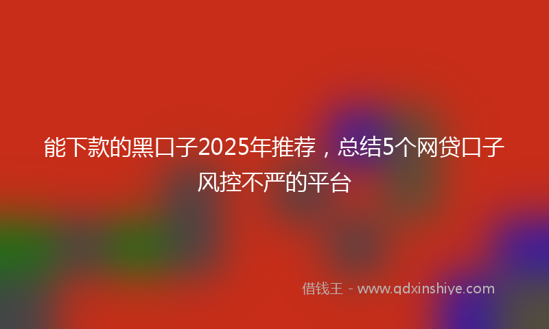 能下款的黑口子2025年推荐，总结5个网贷口子风控不严的平台