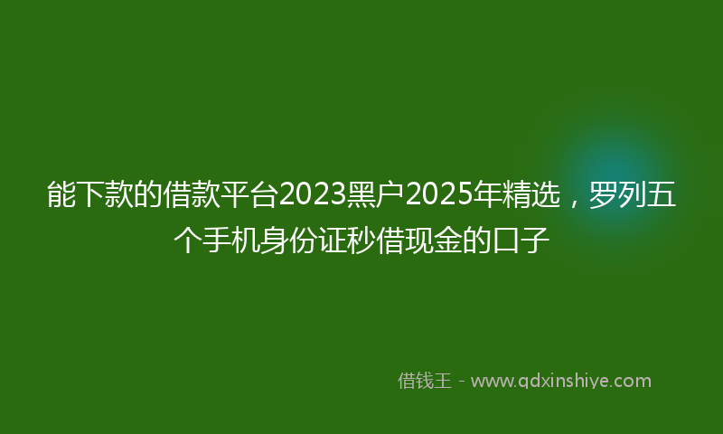 能下款的借款平台2023黑户2025年精选，罗列五个手机身份证秒借现金的口子