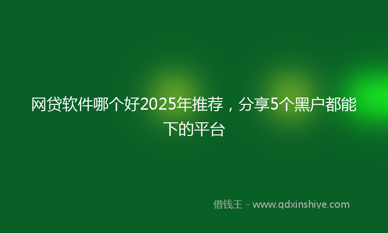 网贷软件哪个好2025年推荐，分享5个黑户都能下的平台