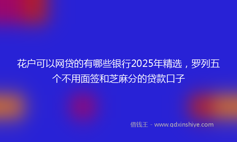 花户可以网贷的有哪些银行2025年精选，罗列五个不用面签和芝麻分的贷款口子