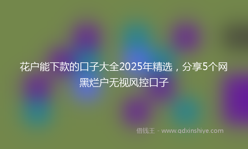 花户能下款的口子大全2025年精选，分享5个网黑烂户无视风控口子