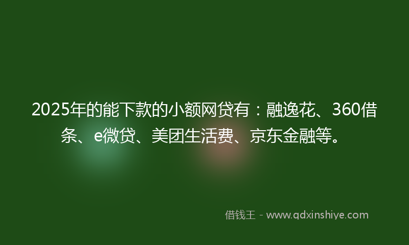 2025年的能下款的小额网贷有：融逸花、360借条、e微贷、美团生活费、京东金融等。