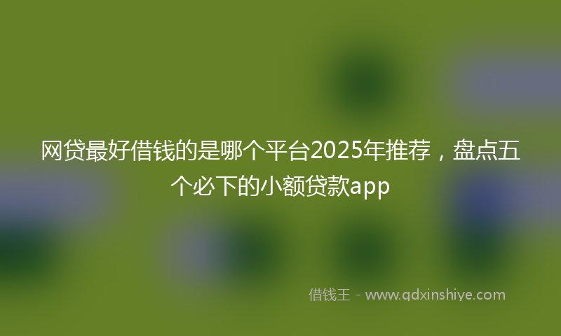 网贷最好借钱的是哪个平台2025年推荐，盘点五个必下的小额贷款app