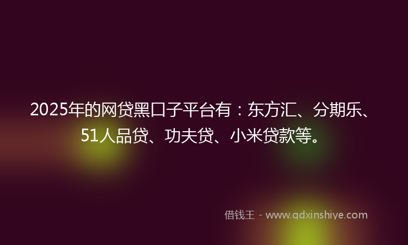 2025年的网贷黑口子平台有：东方汇、分期乐、51人品贷、功夫贷、小米贷款等。