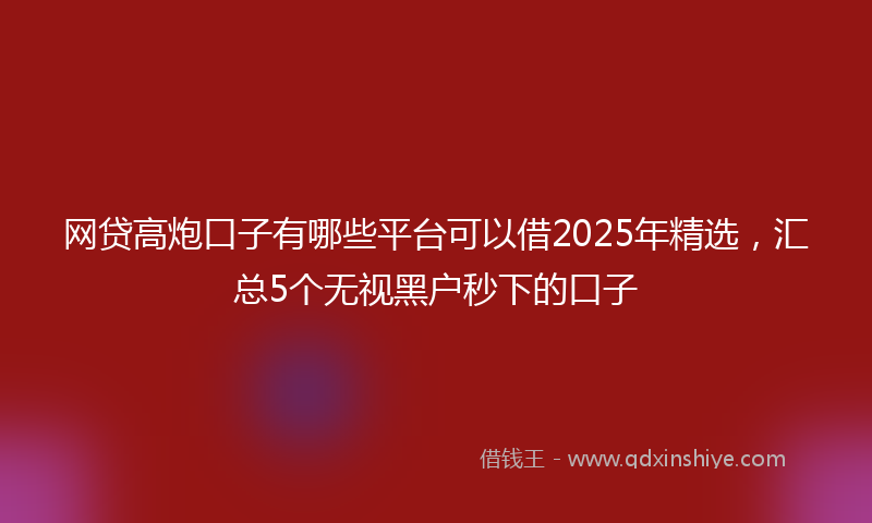 网贷高炮口子有哪些平台可以借2025年精选，汇总5个无视黑户秒下的口子