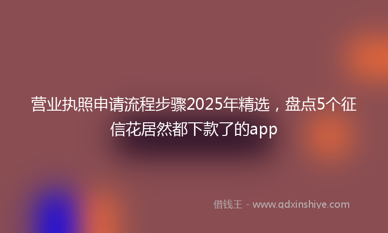 营业执照申请流程步骤2025年精选，盘点5个征信花居然都下款了的app