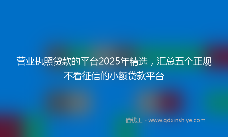 营业执照贷款的平台2025年精选，汇总五个正规不看征信的小额贷款平台
