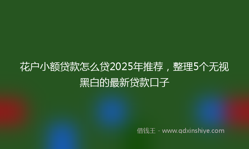 花户小额贷款怎么贷2025年推荐，整理5个无视黑白的最新贷款口子