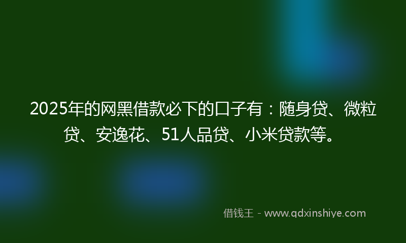 2025年的网黑借款必下的口子有：随身贷、微粒贷、安逸花、51人品贷、小米贷款等。