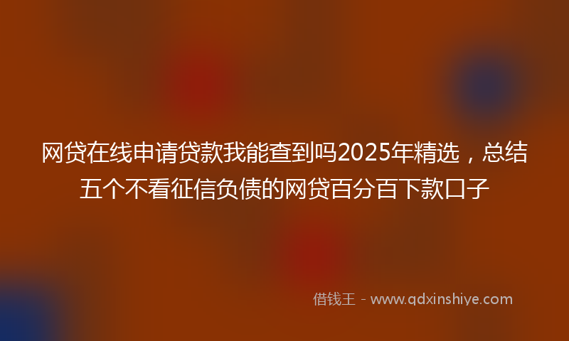网贷在线申请贷款我能查到吗2025年精选，总结五个不看征信负债的网贷百分百下款口子