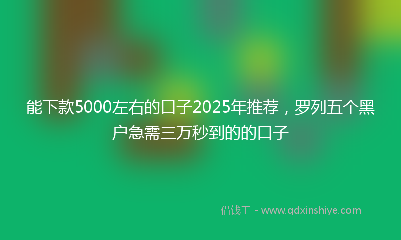 能下款5000左右的口子2025年推荐，罗列五个黑户急需三万秒到的的口子