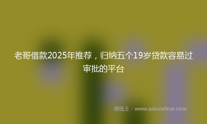 老哥借款2025年推荐，归纳五个19岁贷款容易过审批的平台