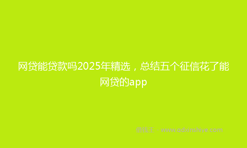 网贷能贷款吗2025年精选，总结五个征信花了能网贷的app