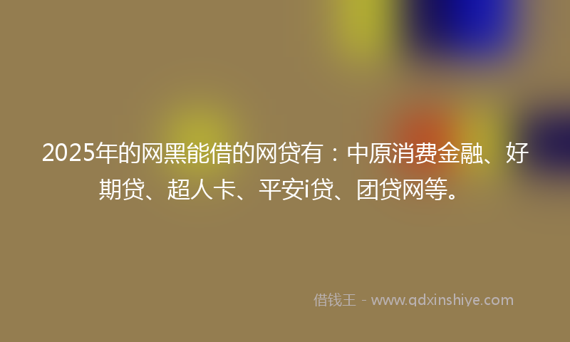 2025年的网黑能借的网贷有：中原消费金融、好期贷、超人卡、平安i贷、团贷网等。
